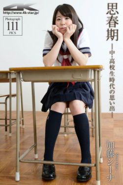 穆桂英挂帅高清下载
